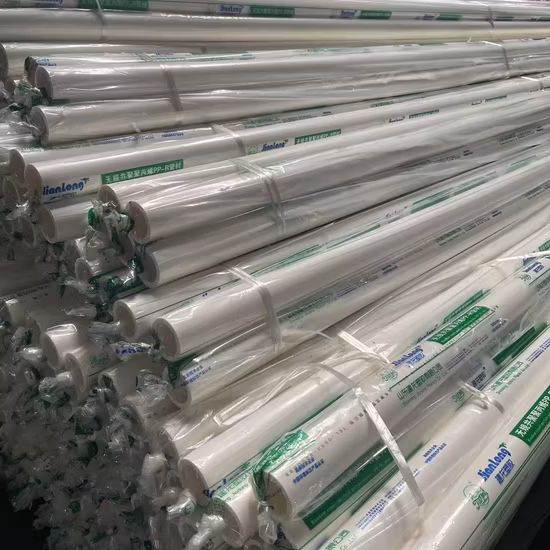 최고 품질의 PPR 파이프/PPR/PVC/CPVC /Pph 온수 파이프 Pn16 20